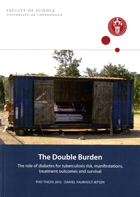 Frontpage of thesis