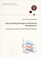 Frontpage of thesis