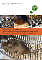PhD frontpage