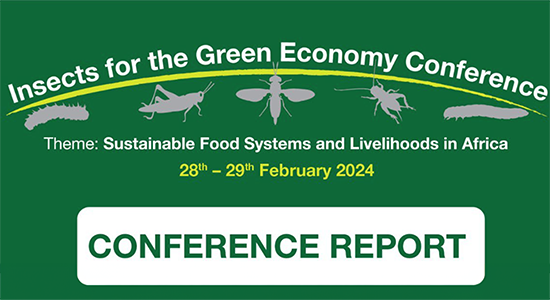 Conference report