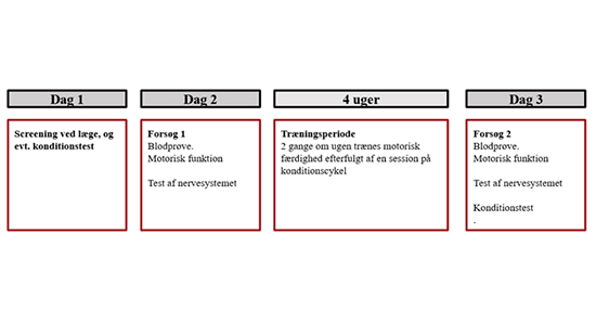 Tidslinje over forsøgets forløb